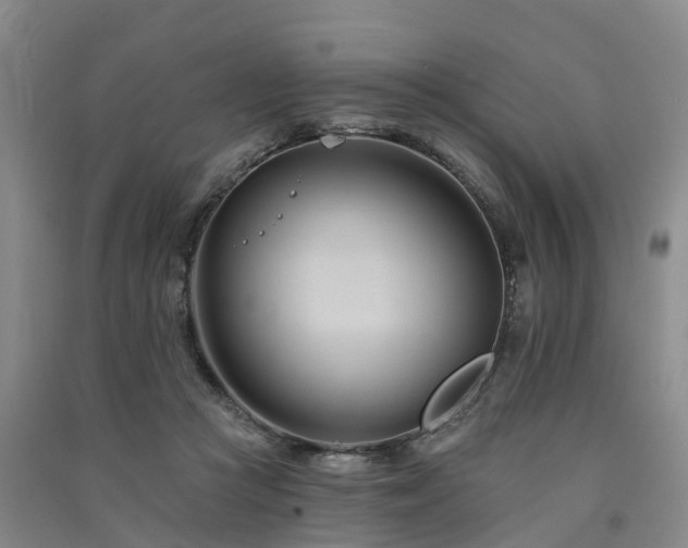 X0000091560361200708171330