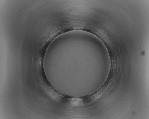 X0000091560363200708171330