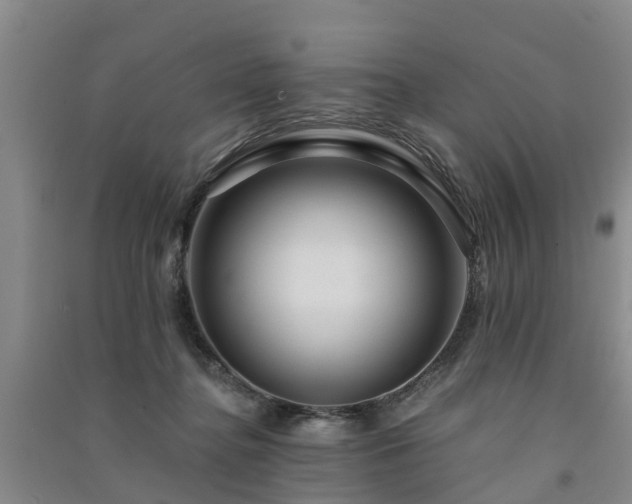 X0000091560364200708171330