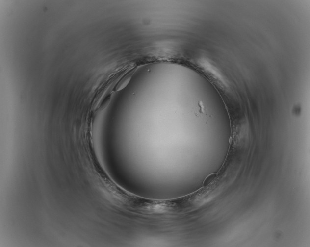 X0000091560365200708171330