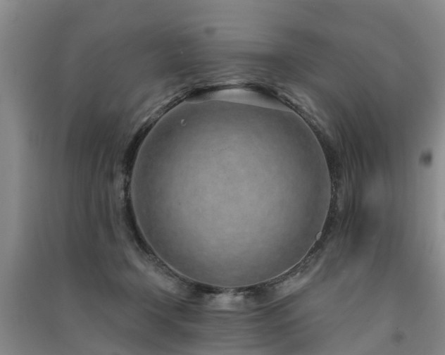 X0000091560366200708171330