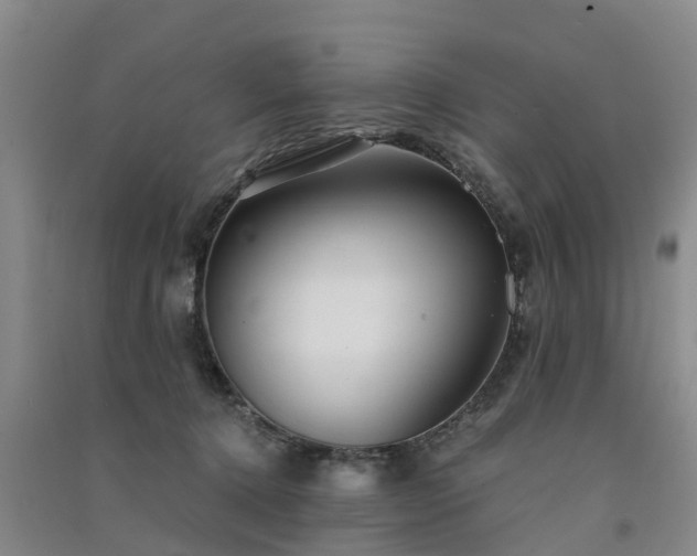 X0000091560368200708171330