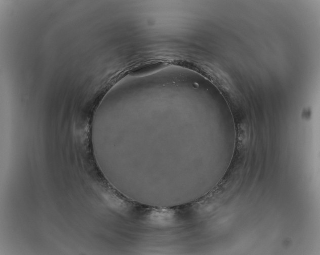 X0000091560369200708171330