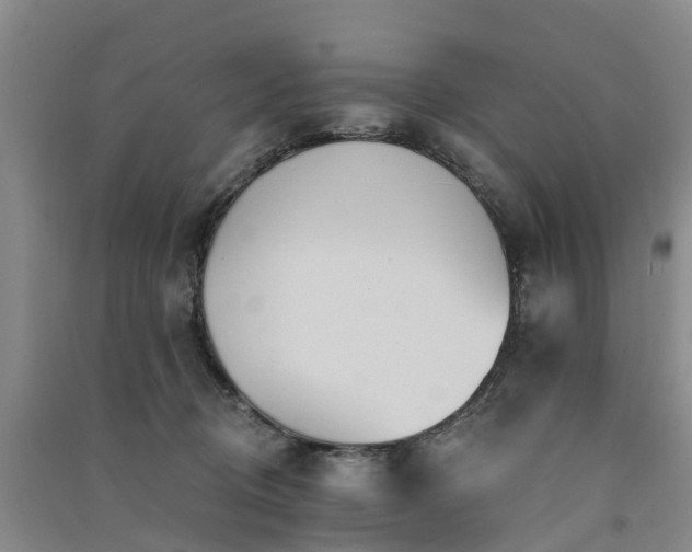 X0000091560370200708171330