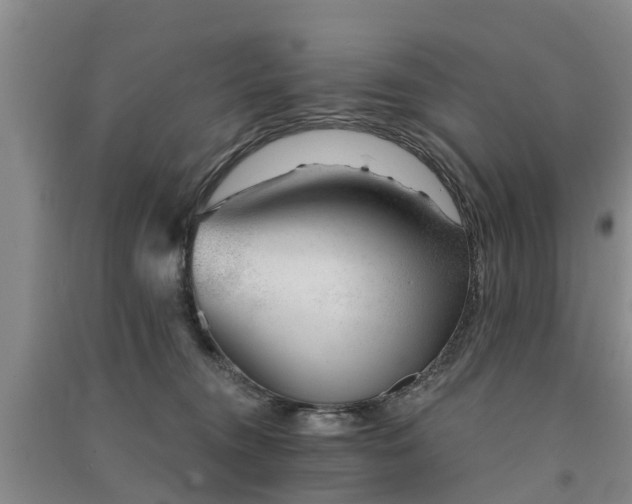 X0000091560372200708171331