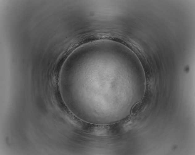 X0000091560373200708171331