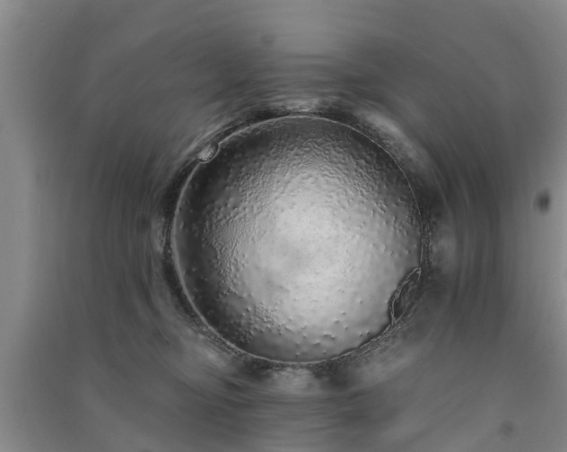 X0000091560374200708171331