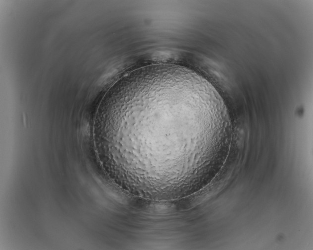 X0000091560375200708171331