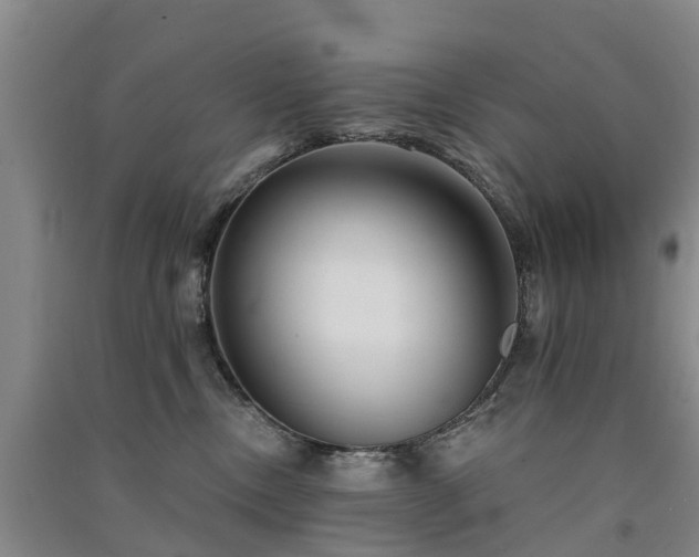 X0000091560378200708171331