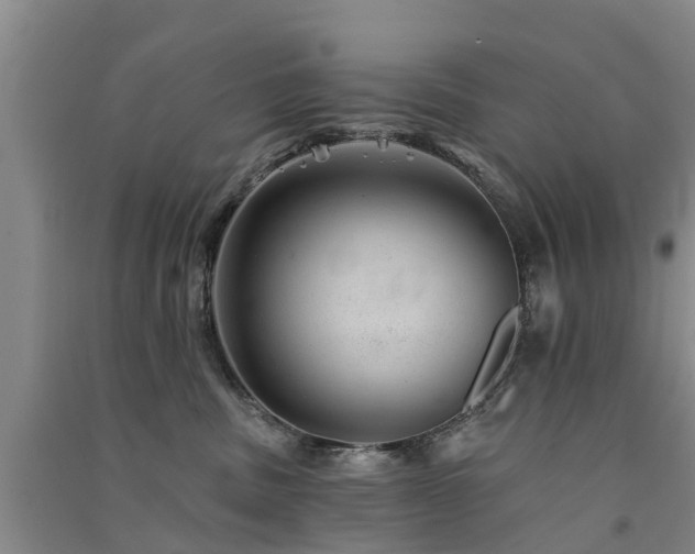 X0000091560379200708171331