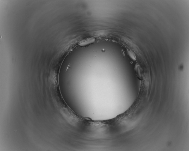 X0000091560380200708171331