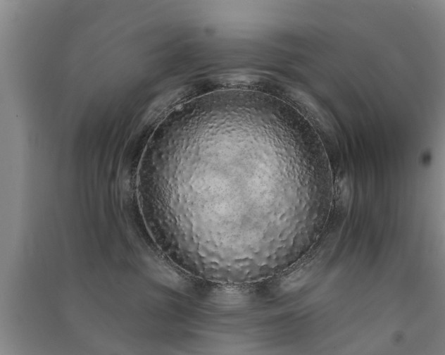 X0000091560381200708171331