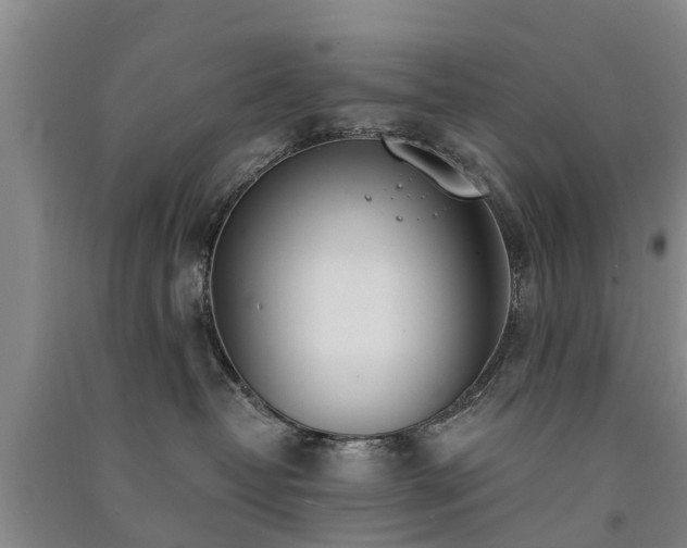 X0000091560382200708171331