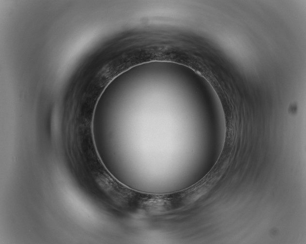 X0000091560383200708171331