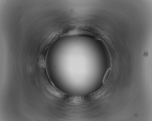 X0000091560384200708171331