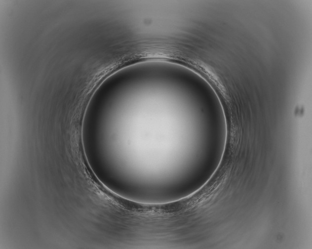 X0000091560385200708171330