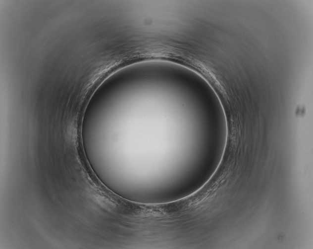 X0000091560386200708171330