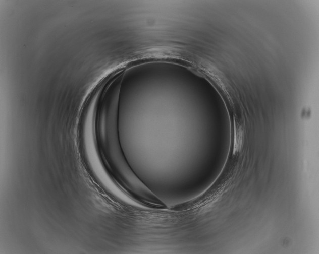 X0000091560387200708171330