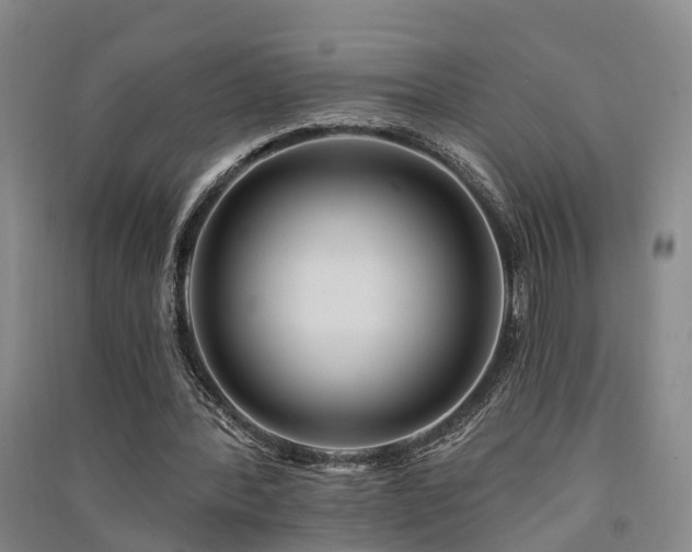 X0000091560388200708171330