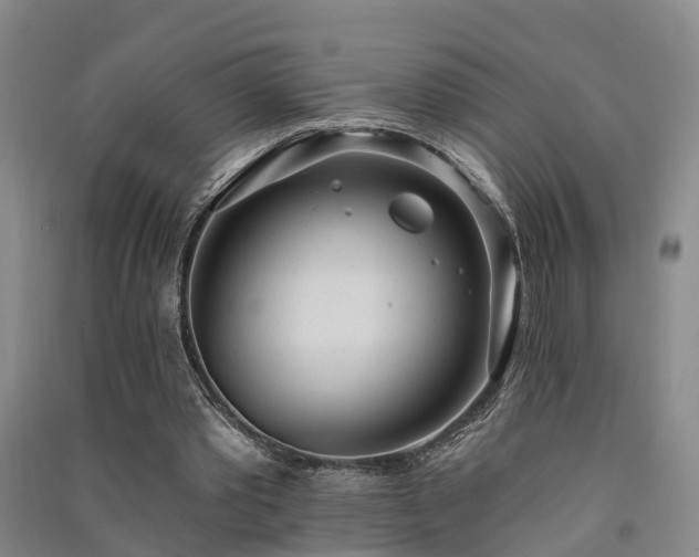 X0000091560389200708171330