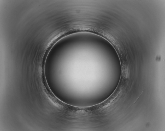 X0000091560390200708171330