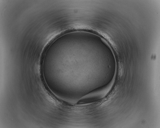 X0000091560391200708171330