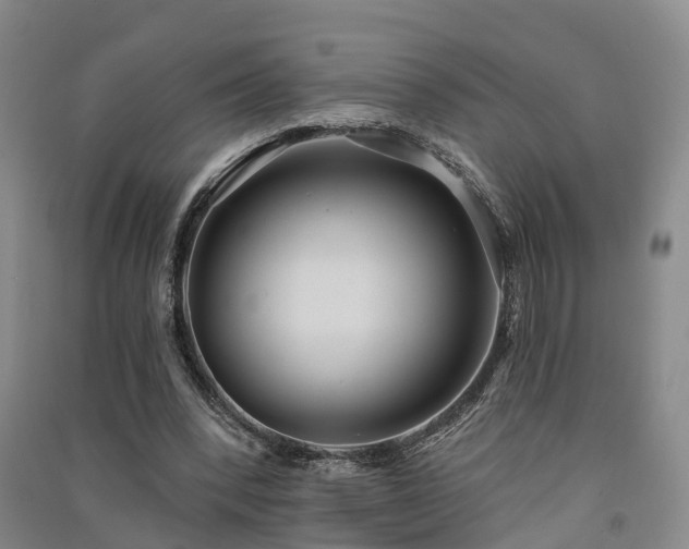 X0000091560392200708171330