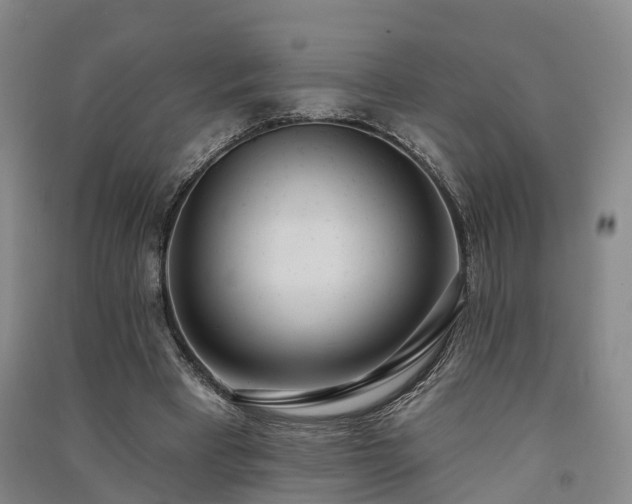 X0000091560393200708171330