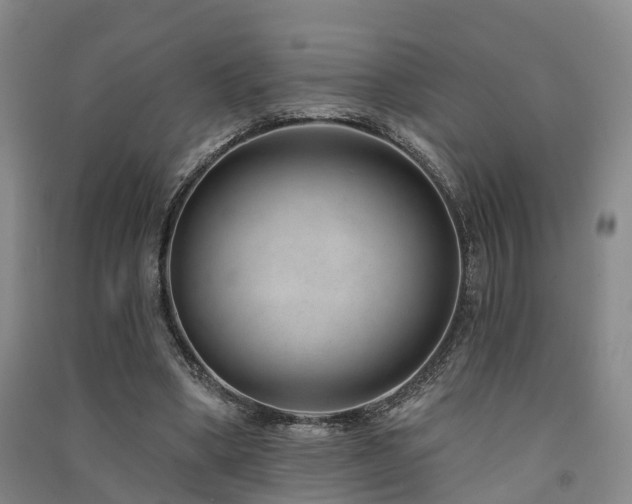 X0000091560394200708171330