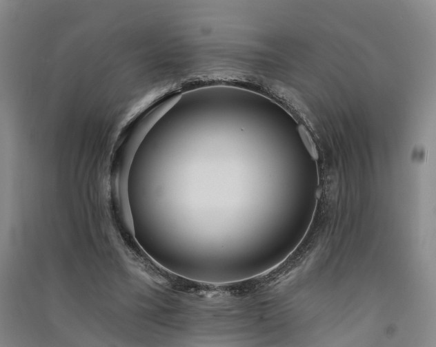 X0000091560395200708171330