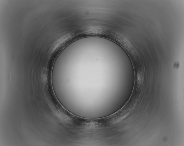 X0000091560396200708171330