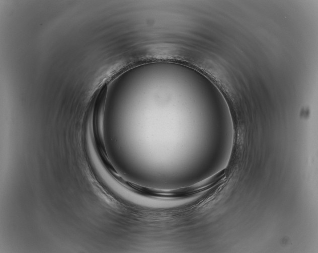 X0000091560397200708171330