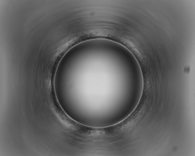 X0000091560398200708171330