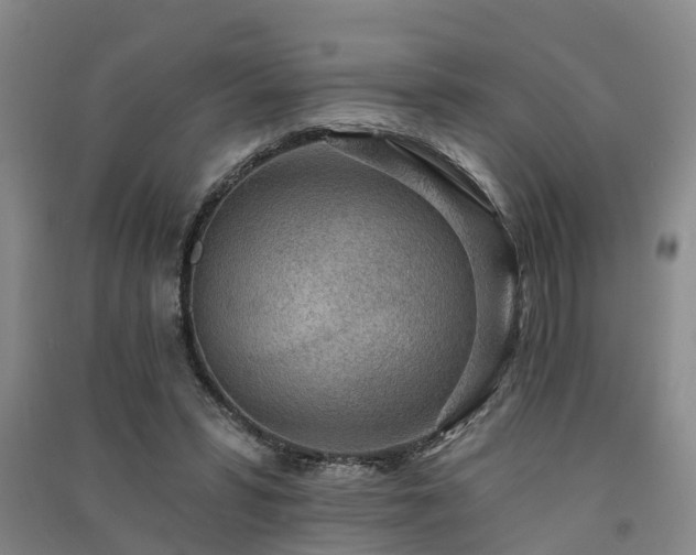 X0000091560399200708171330