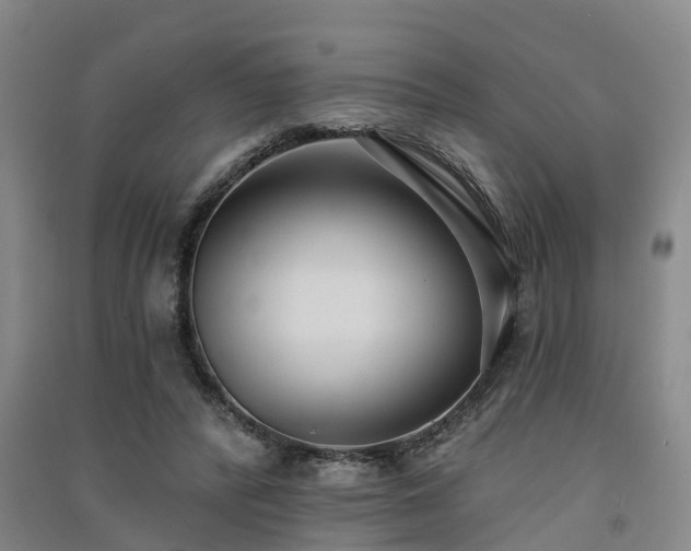 X0000091560400200708171330