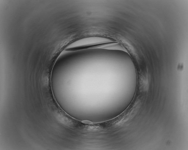 X0000091560401200708171330