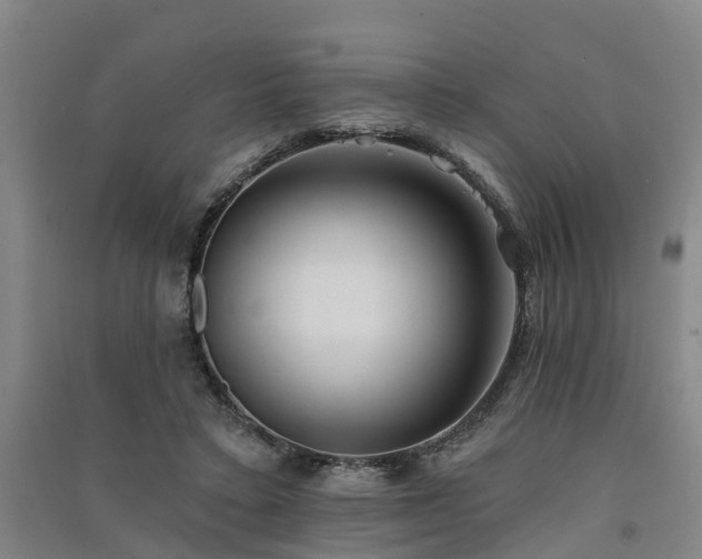 X0000091560403200708171330