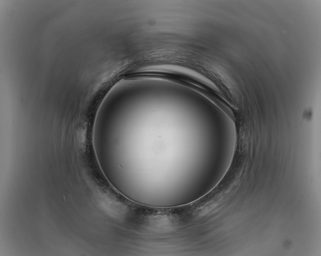 X0000091560404200708171330