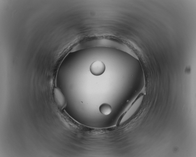 X0000091560405200708171330