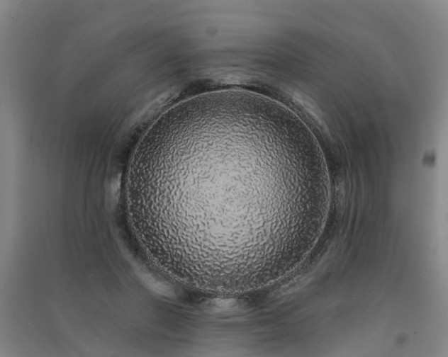 X0000091560406200708171330