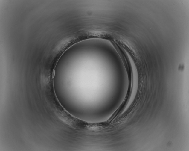 X0000091560407200708171330