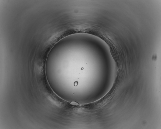 X0000091560408200708171330