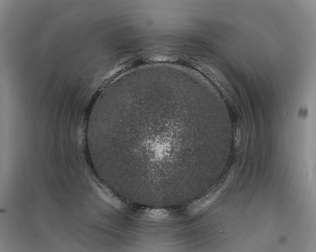 X0000091560409200708171330