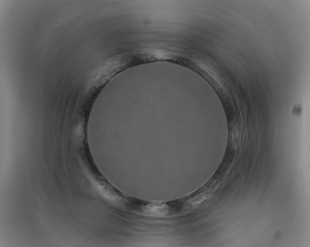 X0000091560410200708171330