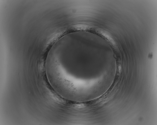 X0000091560411200708171330