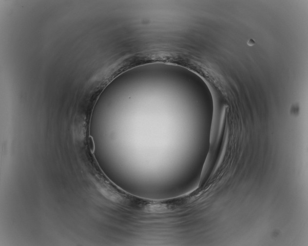 X0000091560413200708171330