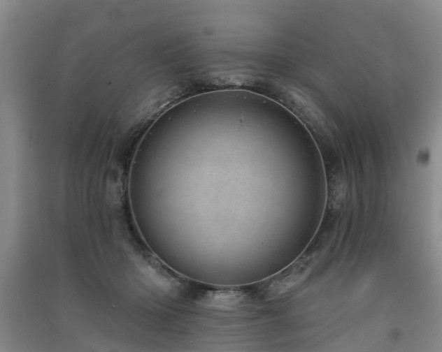 X0000091560414200708171330