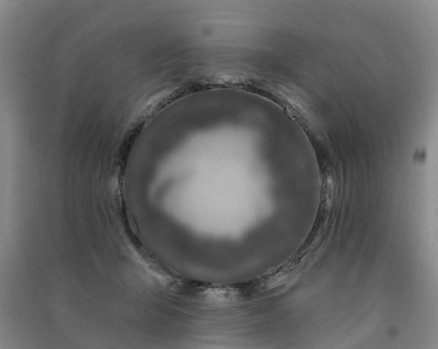 X0000091560415200708171330