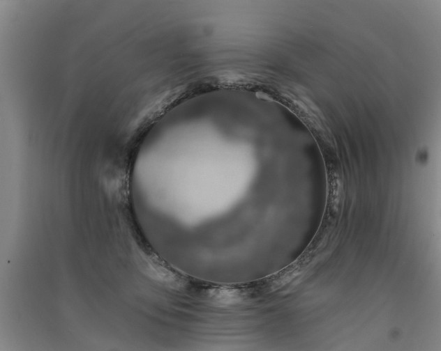 X0000091560419200708171329