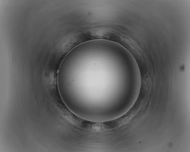 X0000091560420200708171329